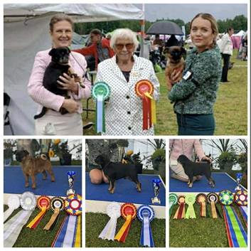 En bild som visar klädsel, person, kollage, utomhus
AI-genererat innehåll kan vara felaktigt.