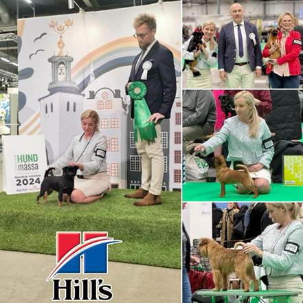 En bild som visar person, klädsel, gräs, utomhus
AI-genererat innehåll kan vara felaktigt.