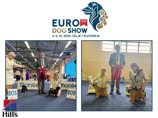 En bild som visar text, fotbeklädnader, klädsel, skärmbild
Automatiskt genererad beskrivning