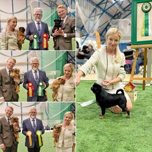 En bild som visar klädsel, person, gräs, hund
Automatiskt genererad beskrivning