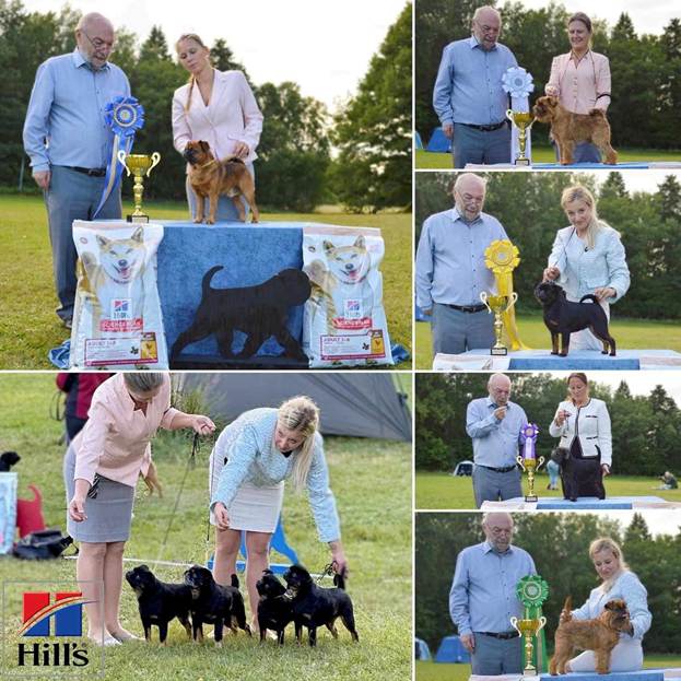 En bild som visar person, hund, klädsel, utomhus
Automatiskt genererad beskrivning