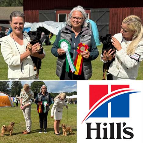 En bild som visar person, klädsel, utomhus, hund
Automatiskt genererad beskrivning