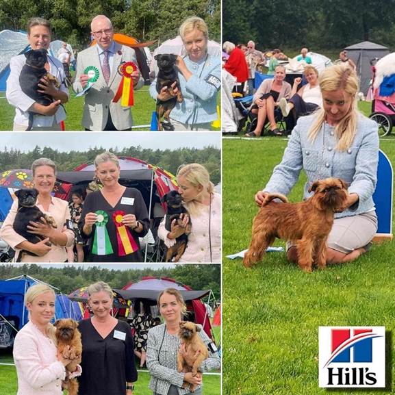 En bild som visar utomhus, person, klädsel, hund
Automatiskt genererad beskrivning