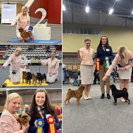 En bild som visar person, klädsel, fotbeklädnader, leende
Automatiskt genererad beskrivning