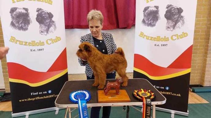 En bild som visar text, bord, inomhus, hund
Automatiskt genererad beskrivning