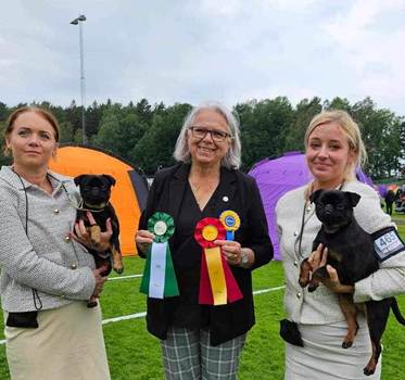 En bild som visar person, himmel, klädsel, utomhus
Automatiskt genererad beskrivning