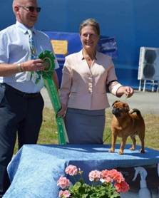 En bild som visar person, blomma, klädsel, hund
Automatiskt genererad beskrivning