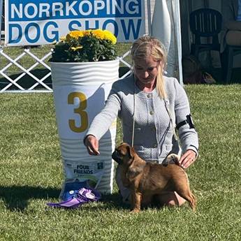 En bild som visar utomhus, gräs, person, däggdjur
Automatiskt genererad beskrivning