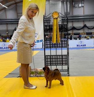 En bild som visar klädsel, person, Hundras, husdjur
Automatiskt genererad beskrivning