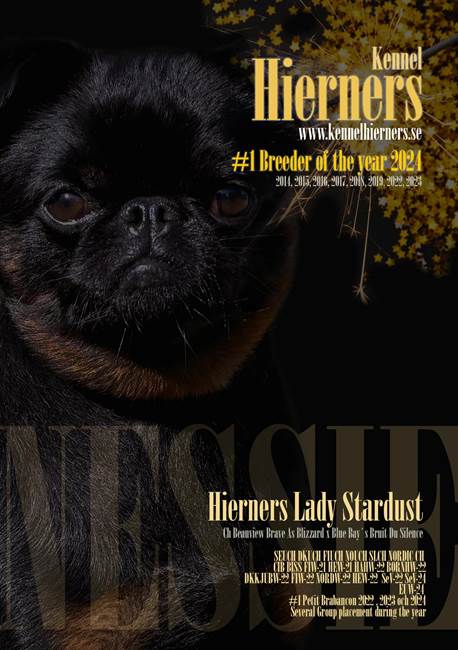En bild som visar text, dggdjur, affisch, hund

AI-genererat innehll kan vara felaktigt.